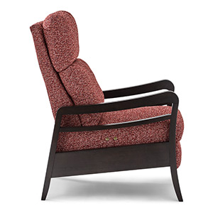 RYBERSON FS RYBERSON FS